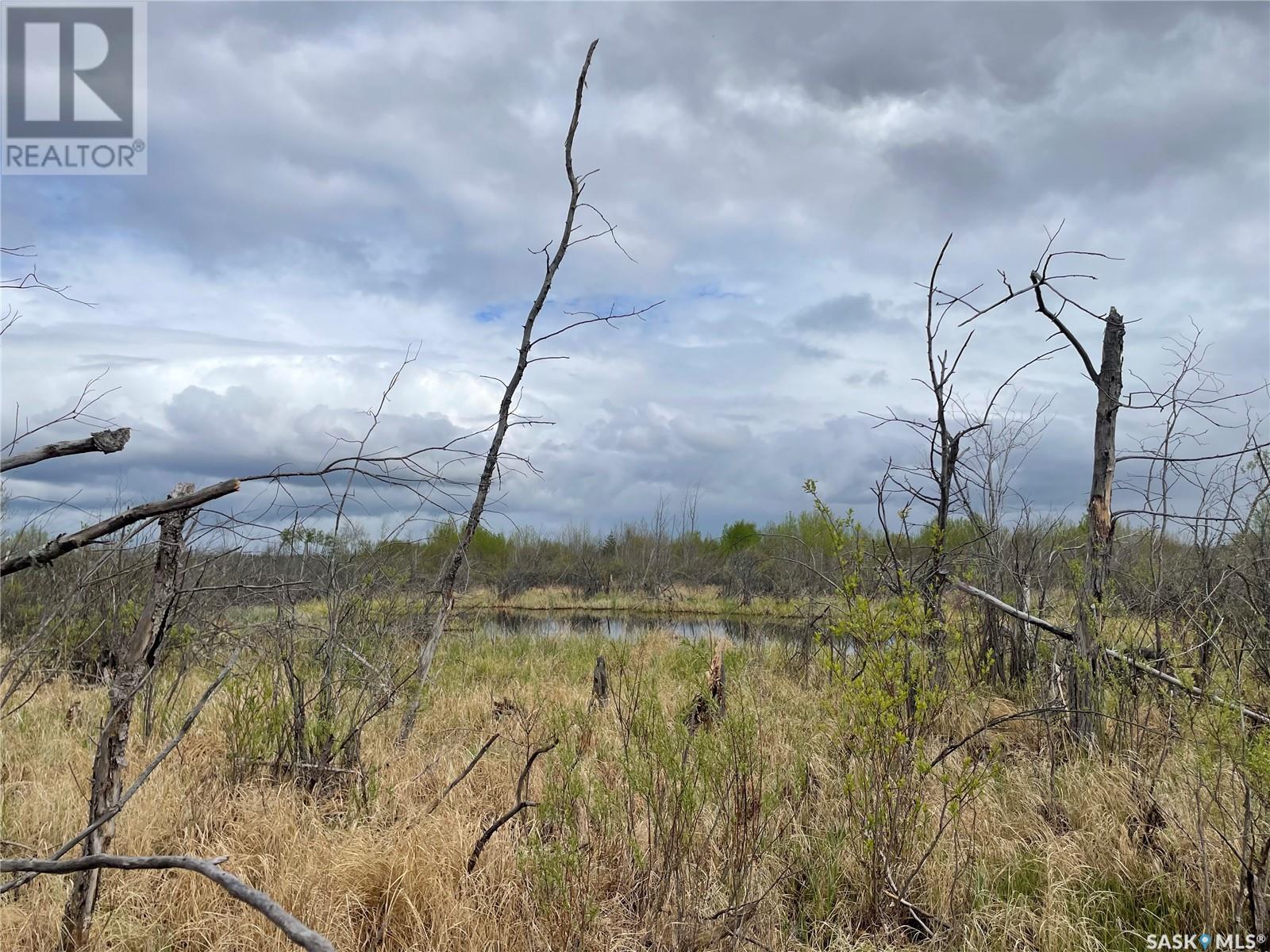 5.5km South Of Dorintosh Lot 3, Meadow Lake Rm No.588, Saskatchewan  S0M 0T0 - Photo 8 - SK007866