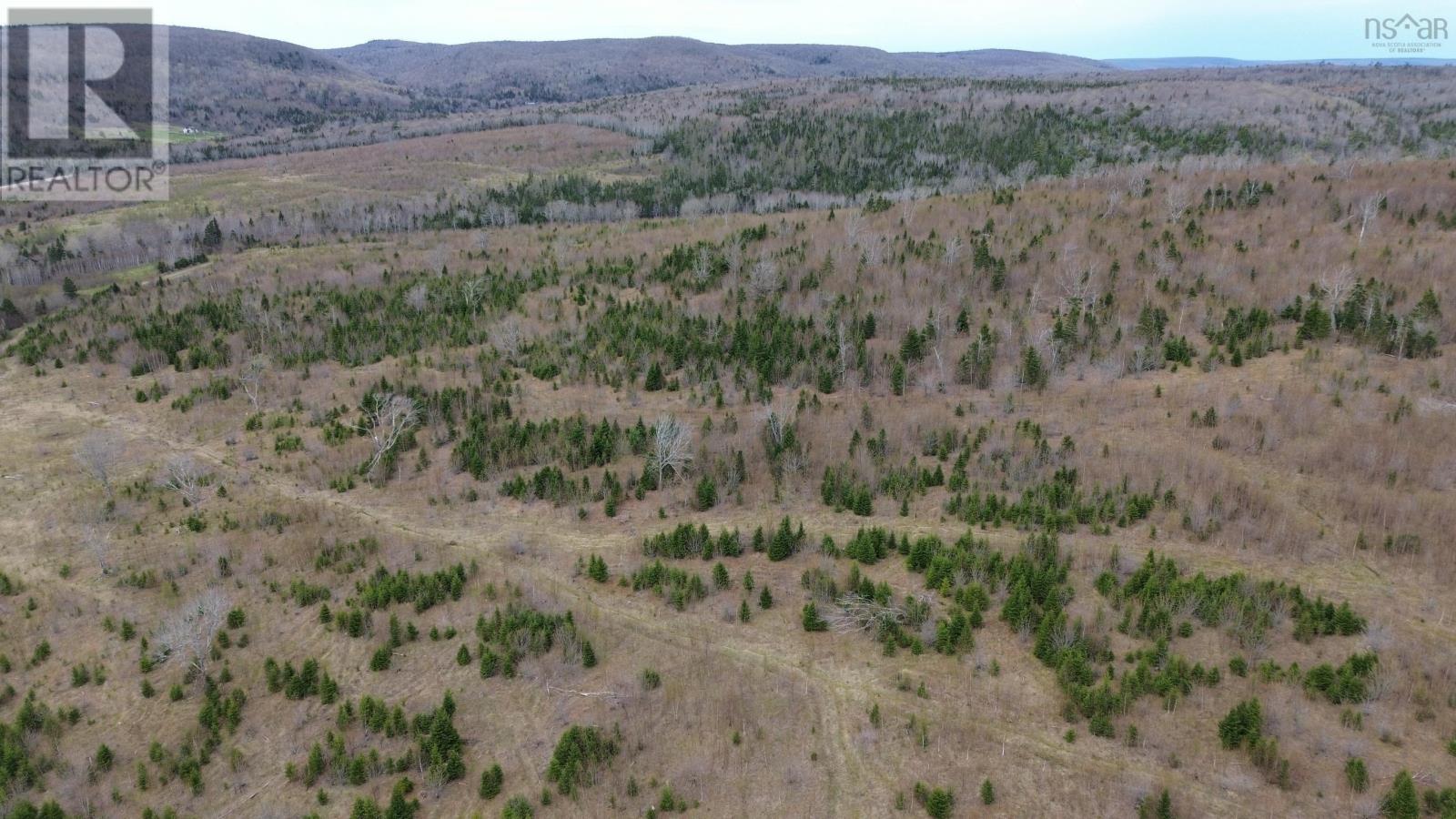 Acreage Mason Road, Glendale, Nova Scotia  B0E 3L0 - Photo 18 - 202509195