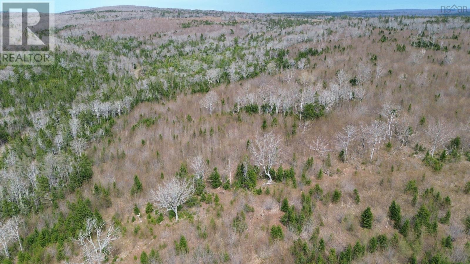 Acreage Mason Road, Glendale, Nova Scotia  B0E 3L0 - Photo 19 - 202509195