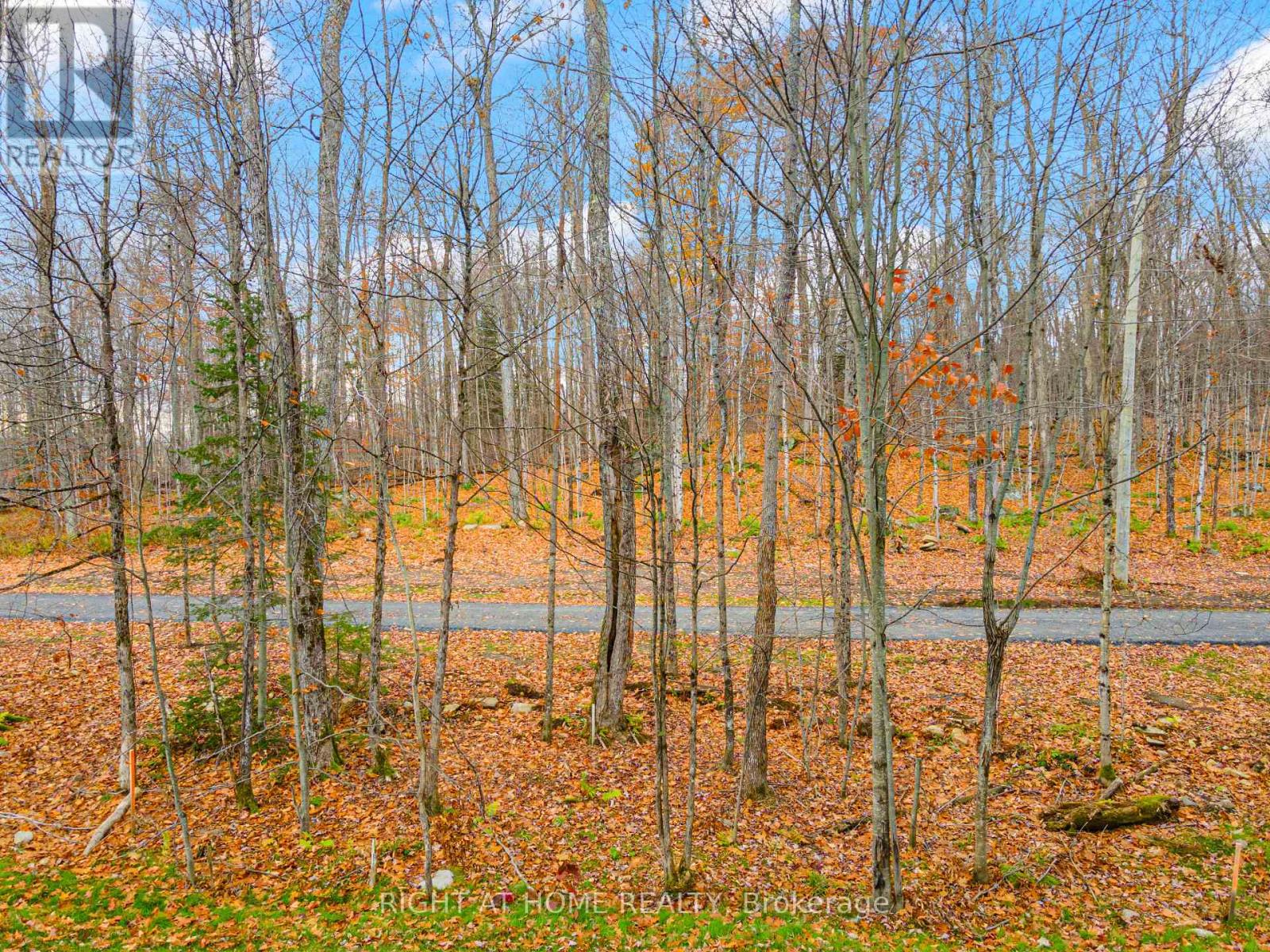 107 - 18 Campus Trail, Huntsville, Ontario  P1H 1C6 - Photo 21 - X12187156