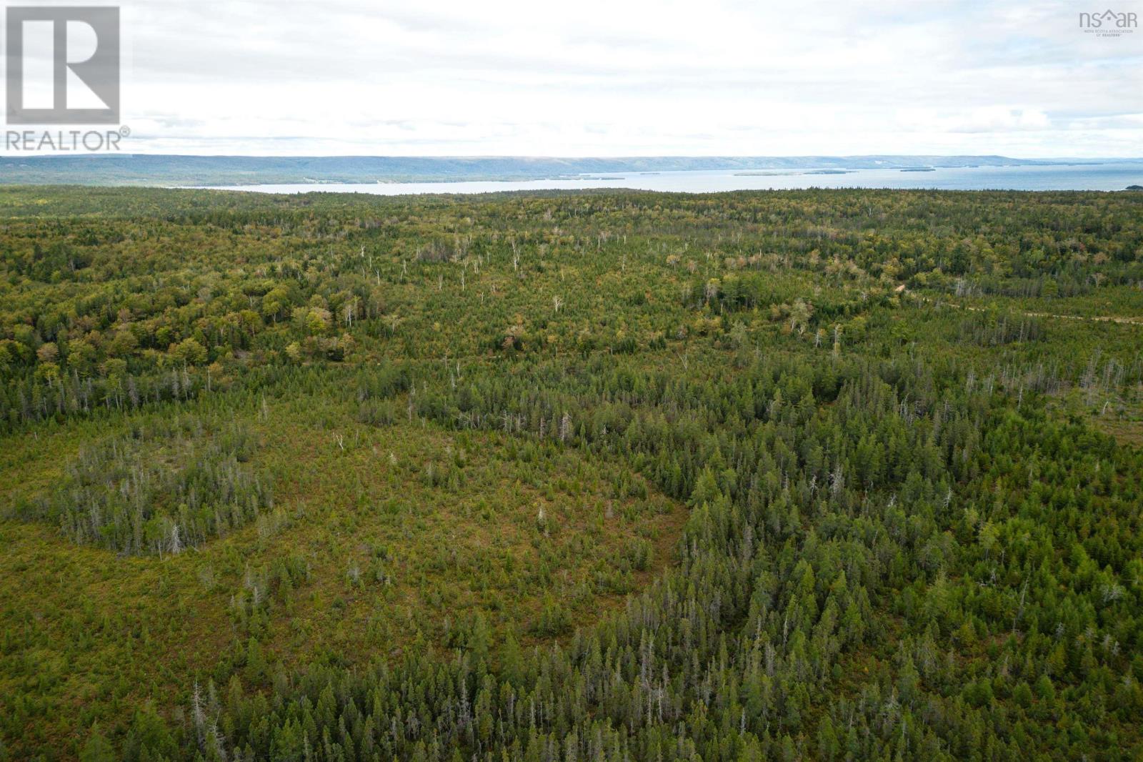 44 Acres Rear Black River Road, Grande Anse, Nova Scotia