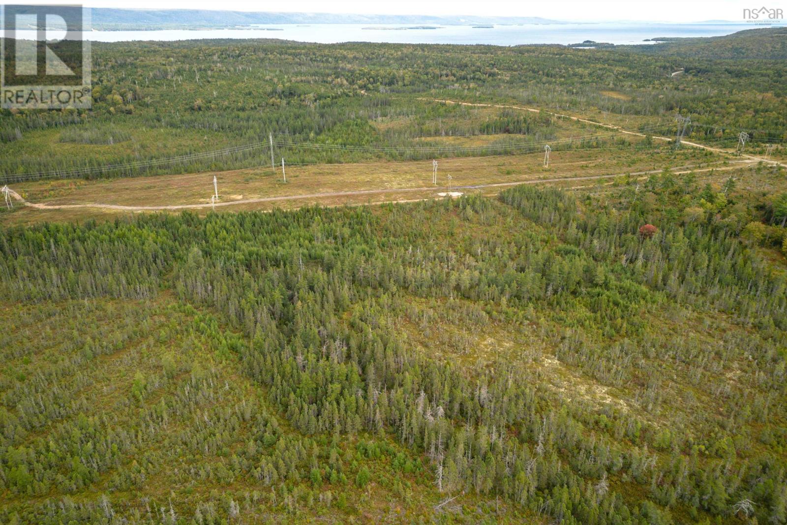 44 Acres Rear Black River Road, Grande Anse, Nova Scotia  B0E 3K0 - Photo 13 - 202426605