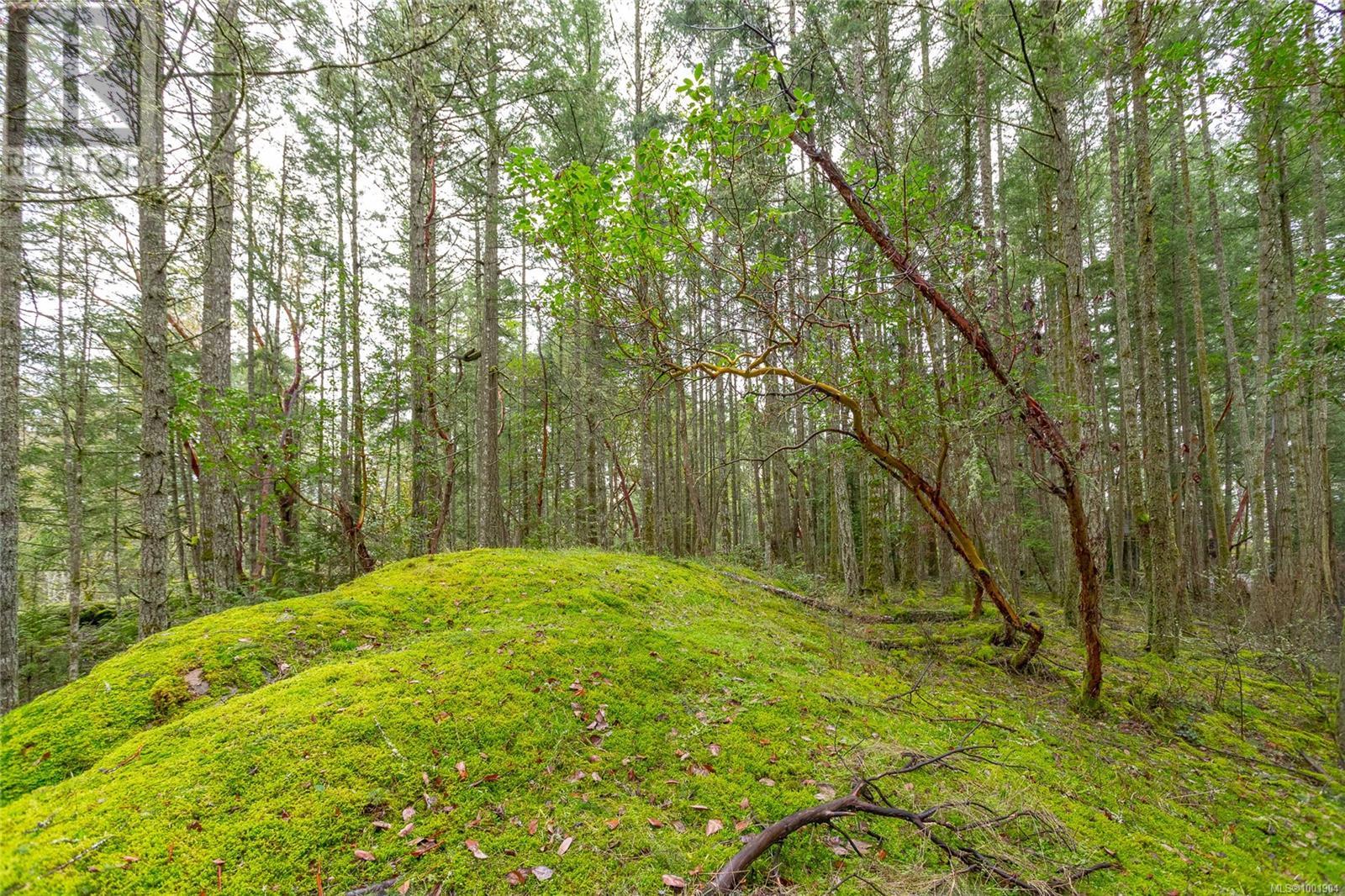 872 Walfred Rd, Langford, British Columbia  V9C 2P2 - Photo 19 - 1001904