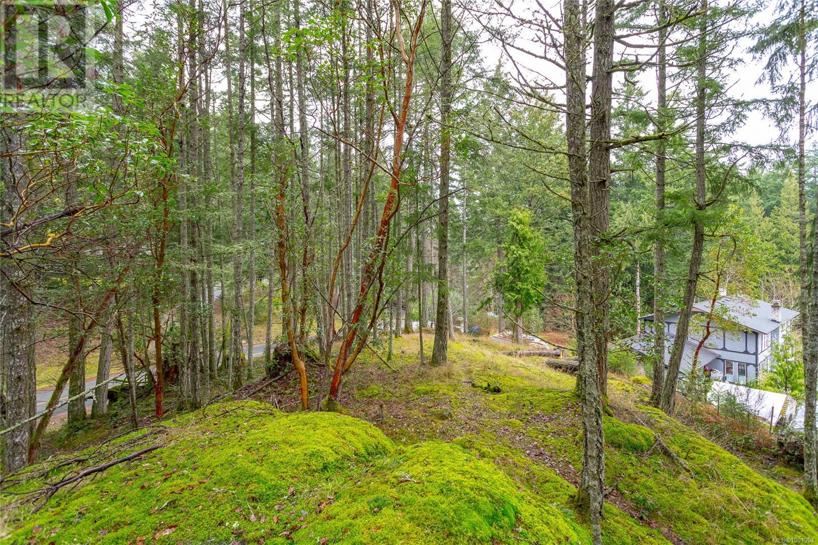 872 Walfred Rd, Langford, British Columbia  V9C 2P2 - Photo 21 - 1001904