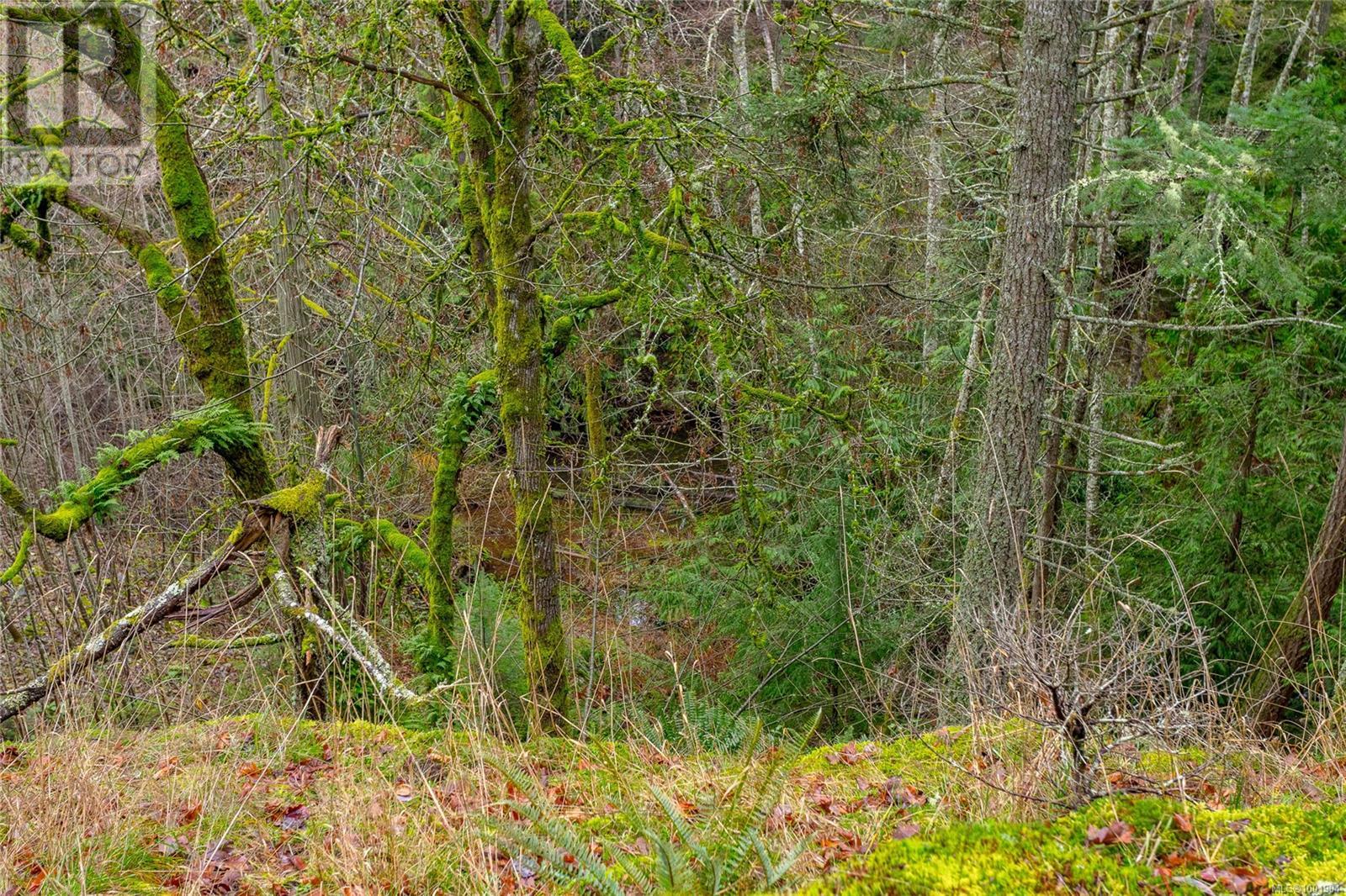 872 Walfred Rd, Langford, British Columbia  V9C 2P2 - Photo 25 - 1001904