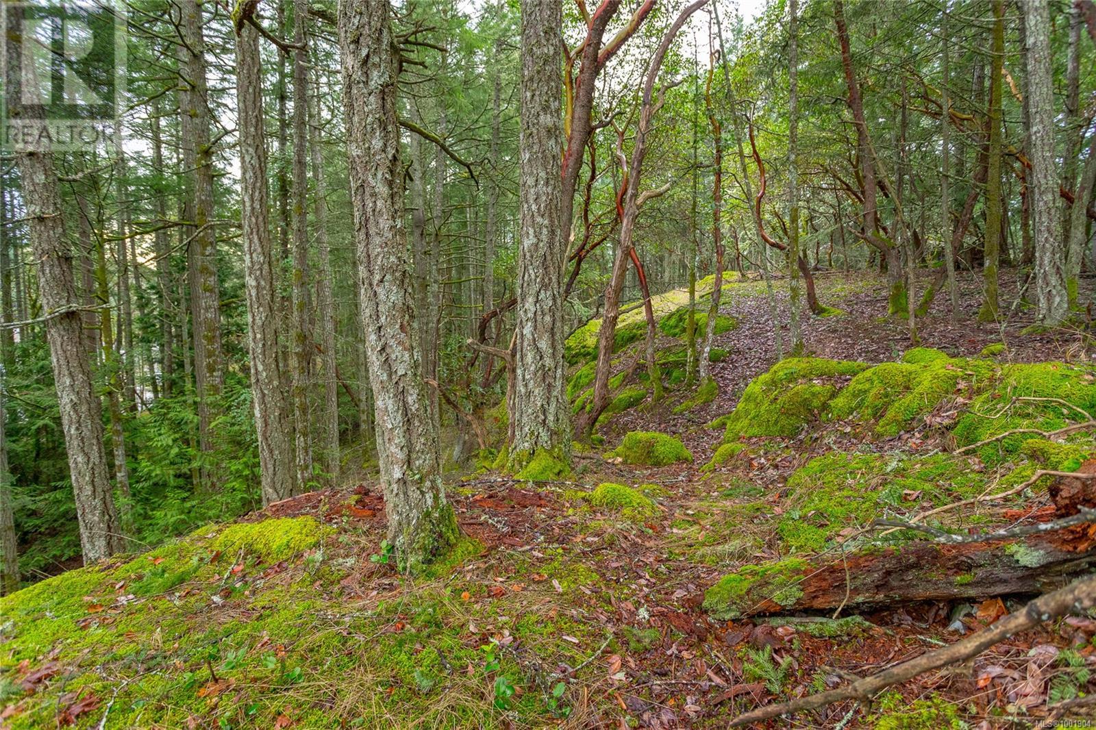 872 Walfred Rd, Langford, British Columbia  V9C 2P2 - Photo 26 - 1001904