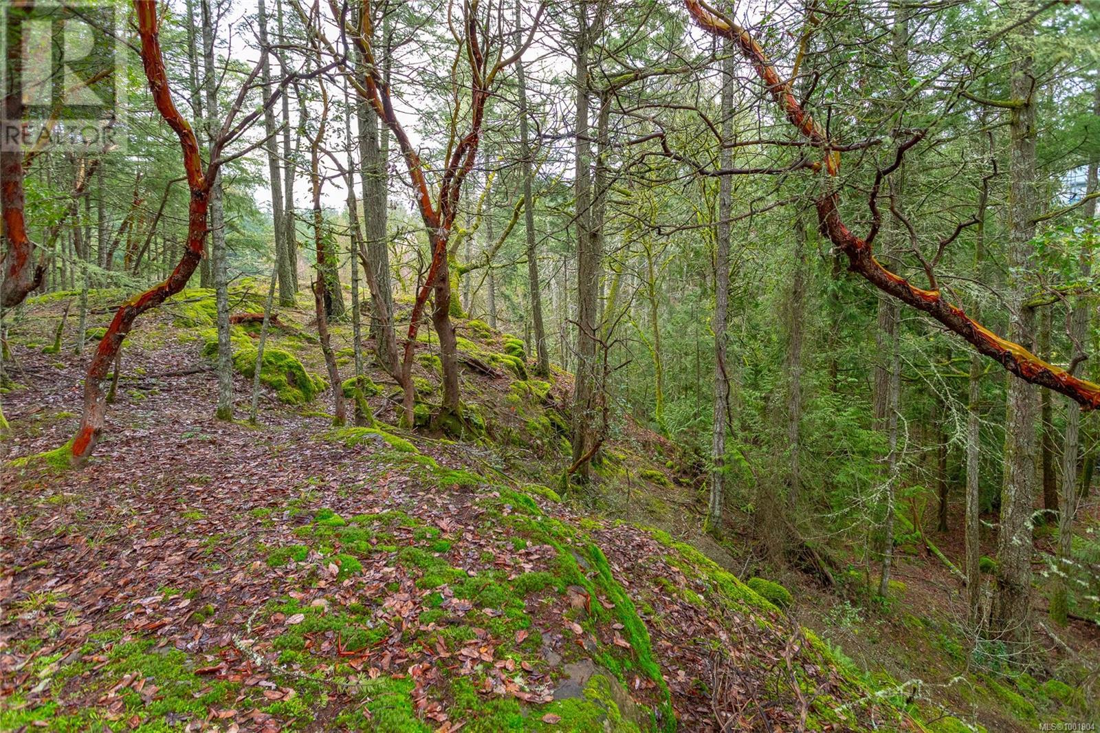 872 Walfred Rd, Langford, British Columbia  V9C 2P2 - Photo 27 - 1001904