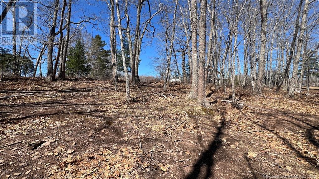 100 715 Route, Coles Island, New Brunswick  E4C 2T1 - Photo 22 - NB116820