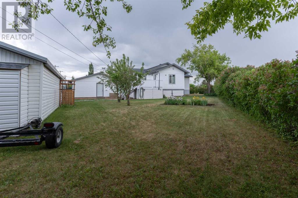 4602 51 Street, Forestburg, Alberta  T0B 1N0 - Photo 4 - A2143791