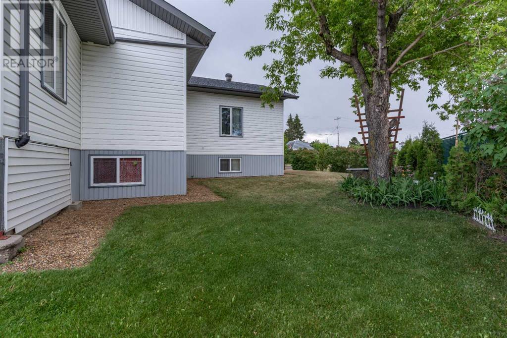 4602 51 Street, Forestburg, Alberta  T0B 1N0 - Photo 6 - A2143791