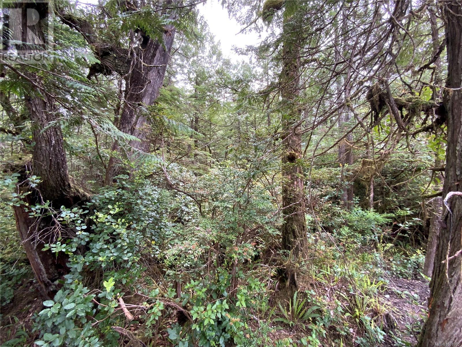 Lot 10 Rainforest Lane, Ucluelet, British Columbia  V0R 3A0 - Photo 10 - 1001905