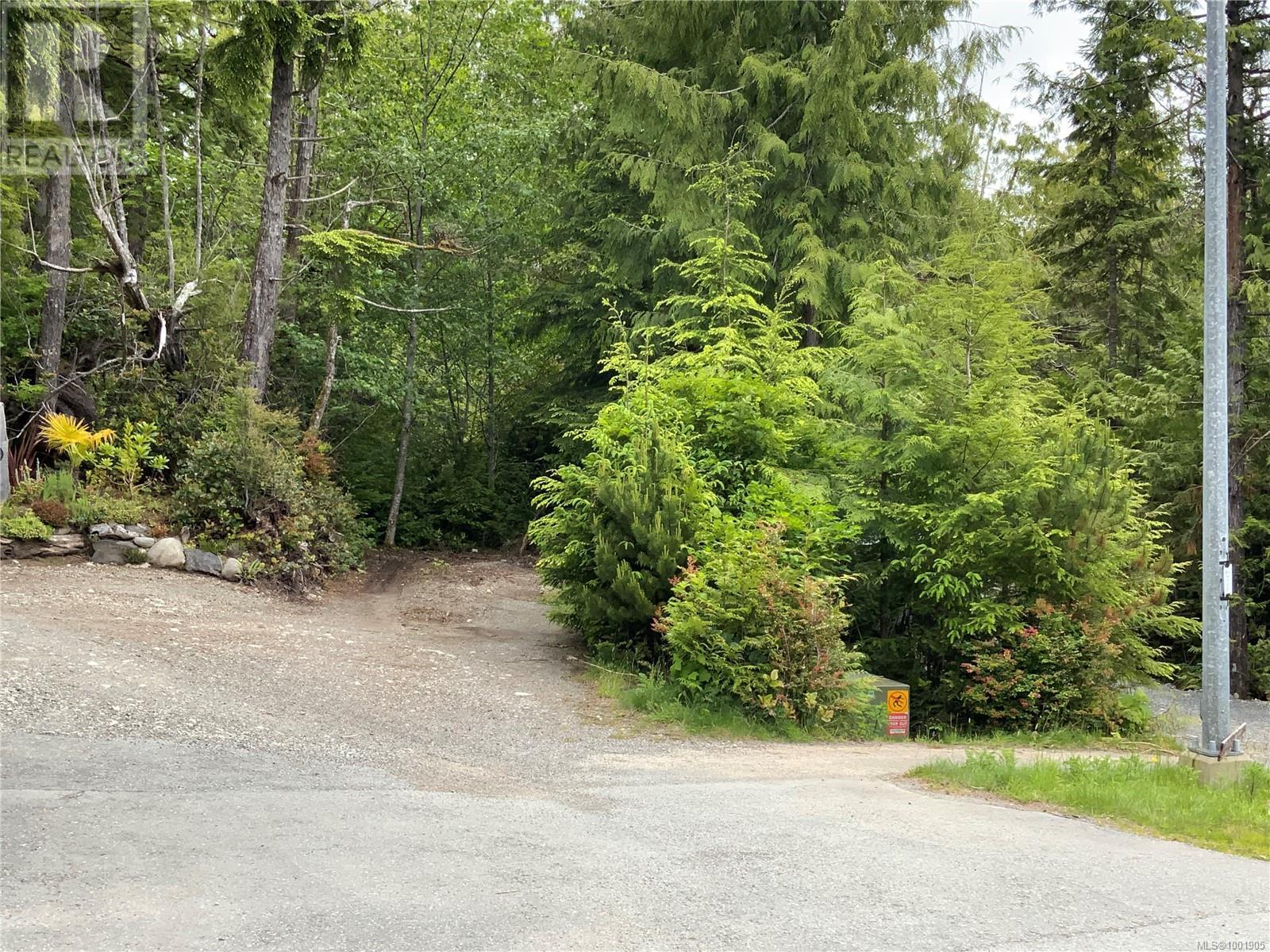 Lot 10 Rainforest Lane, Ucluelet, British Columbia  V0R 3A0 - Photo 3 - 1001905