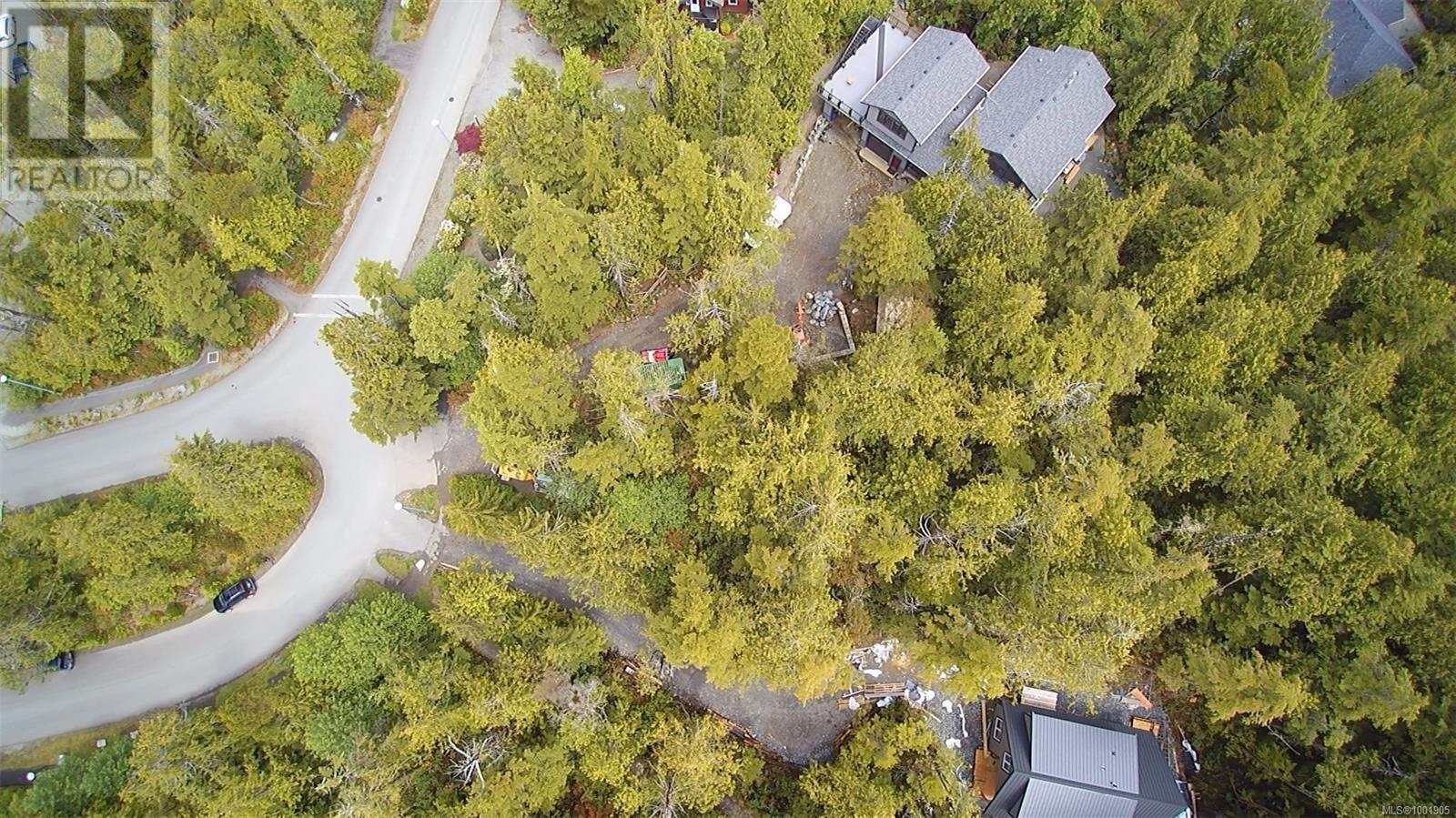 Lot 10 Rainforest Lane, Ucluelet, British Columbia  V0R 3A0 - Photo 4 - 1001905