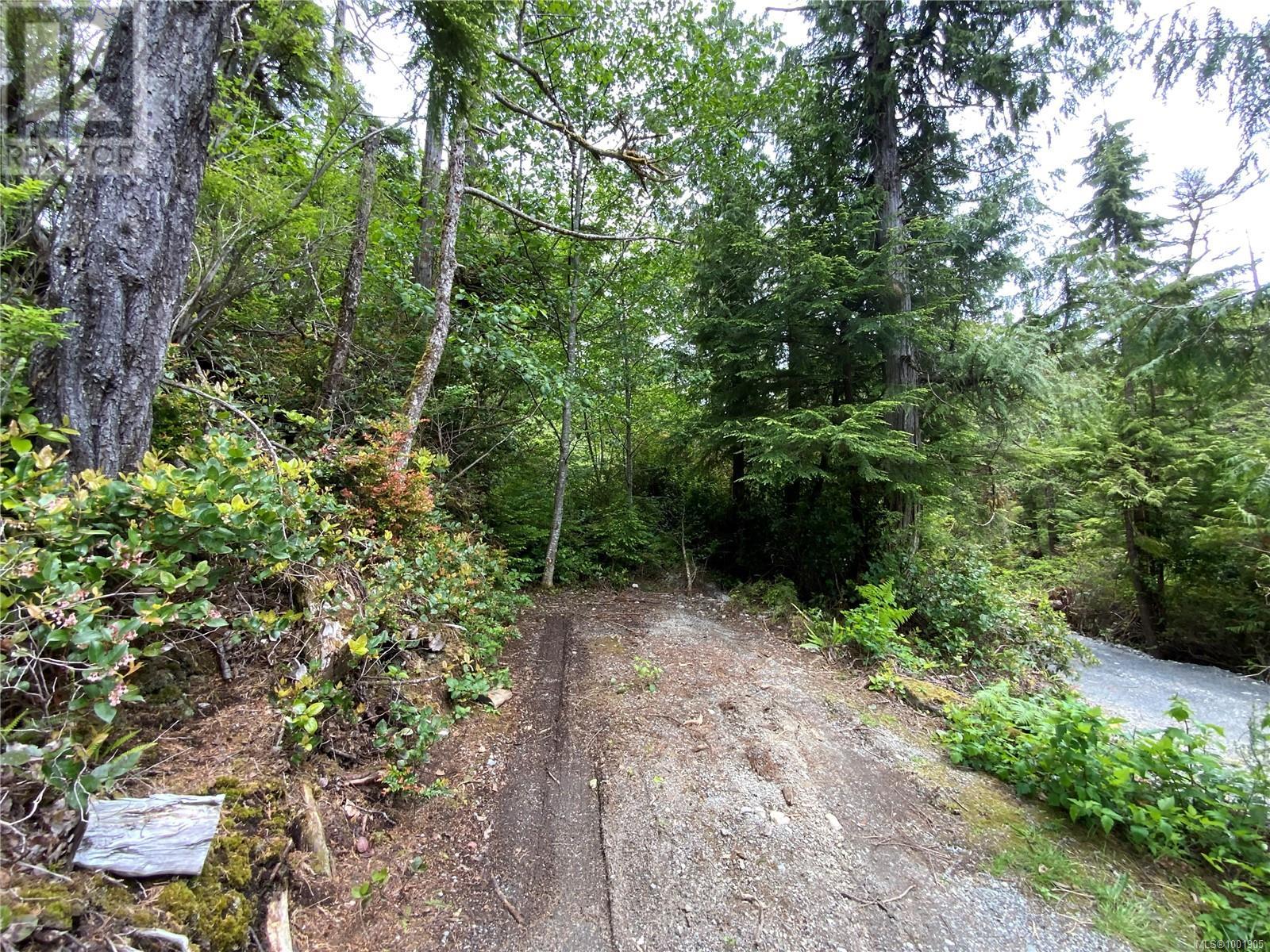 Lot 10 Rainforest Lane, Ucluelet, British Columbia  V0R 3A0 - Photo 6 - 1001905