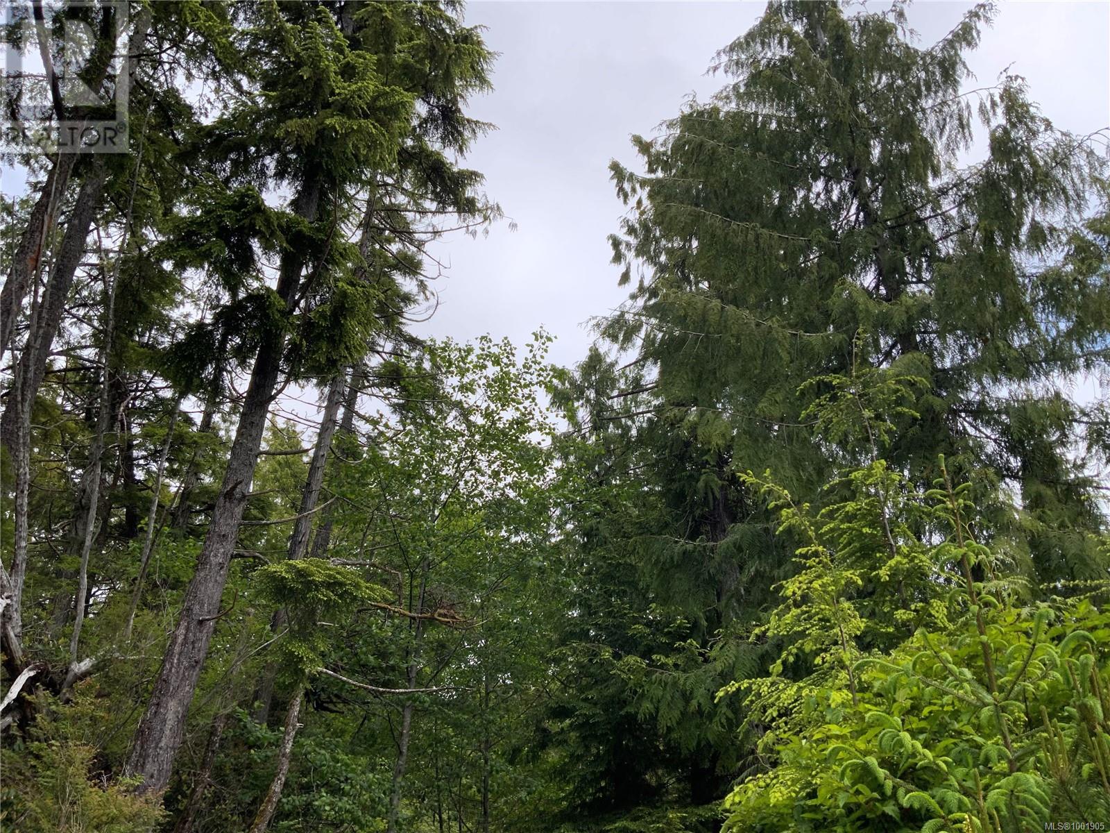 Lot 10 Rainforest Lane, Ucluelet, British Columbia  V0R 3A0 - Photo 9 - 1001905