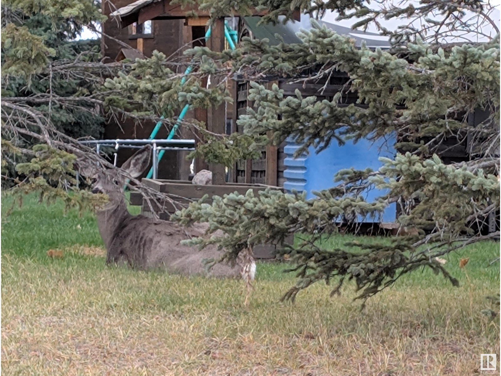 #573 461032 Hwy 13, Rural Wetaskiwin County, Alberta  T0C 0T0 - Photo 18 - E4439767