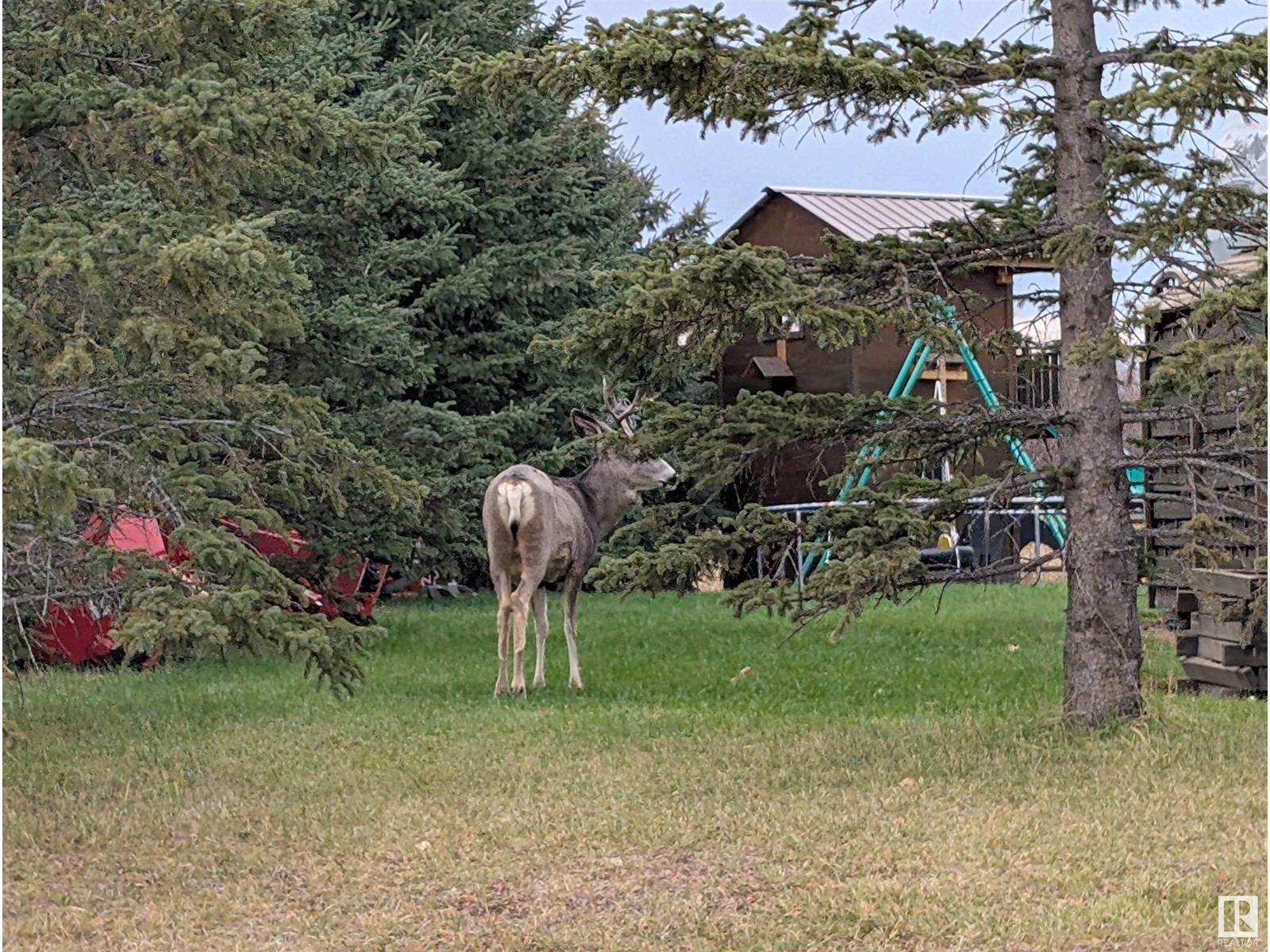 #573 461032 Hwy 13, Rural Wetaskiwin County, Alberta  T0C 0T0 - Photo 25 - E4439767
