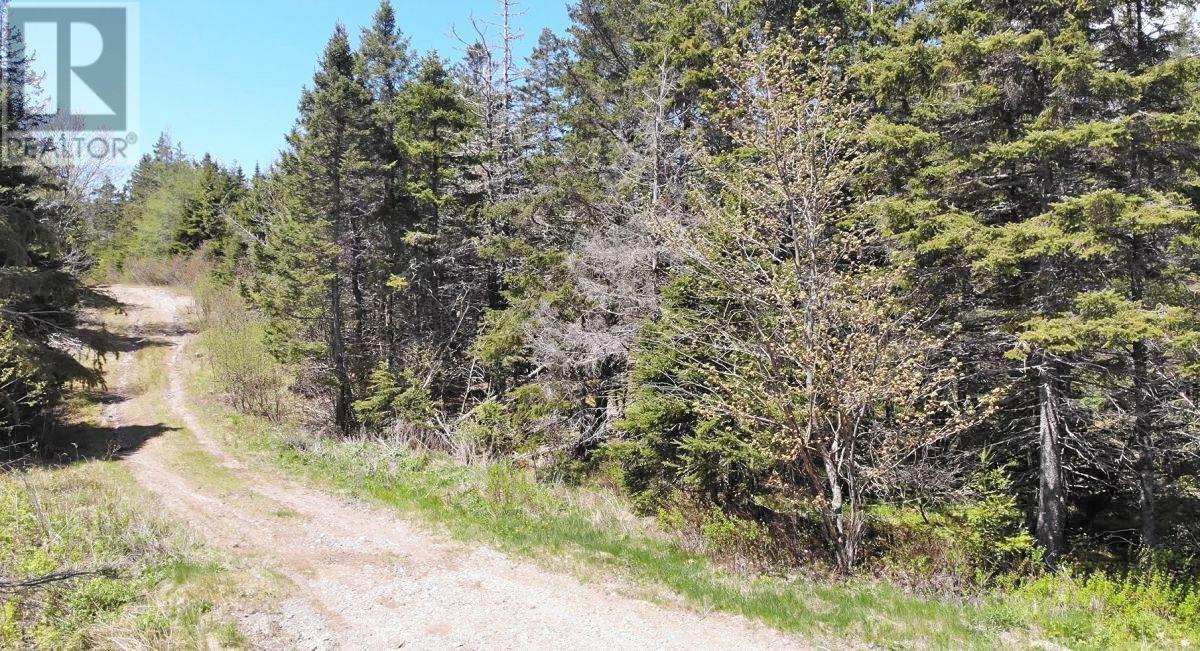 28 Acres Upper Grand Mira Road, Upper Grand Mira, Nova Scotia  B1K 1M1 - Photo 19 - 202513002