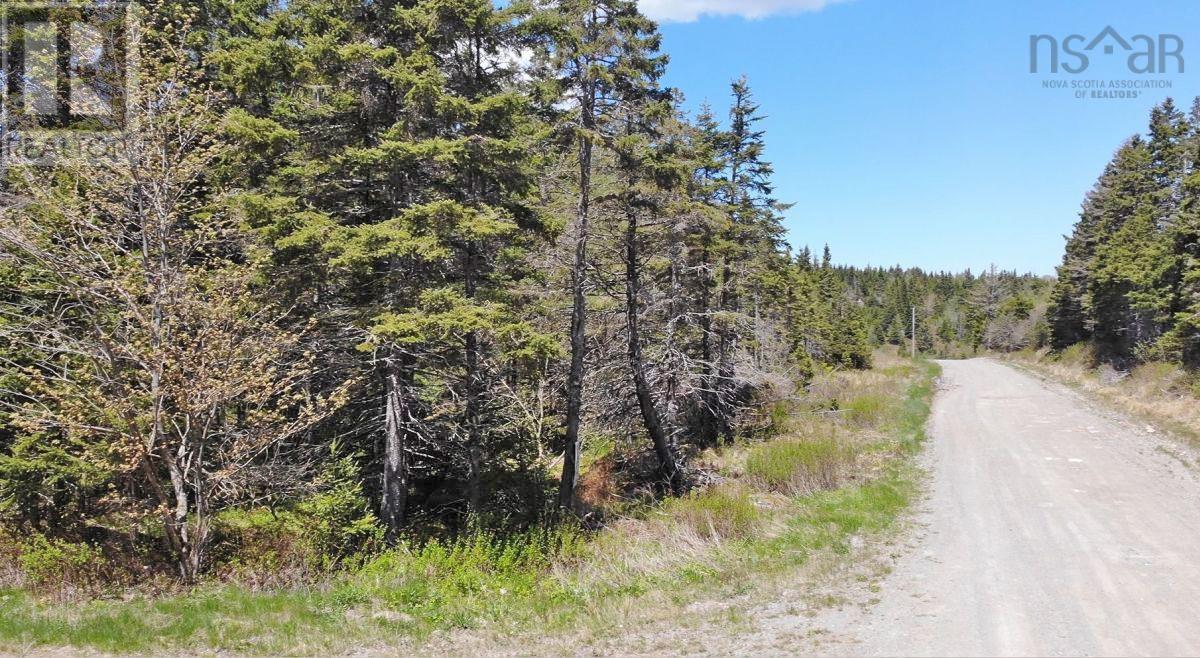 28 Acres Upper Grand Mira Road, Upper Grand Mira, Nova Scotia  B1K 1M1 - Photo 20 - 202513002