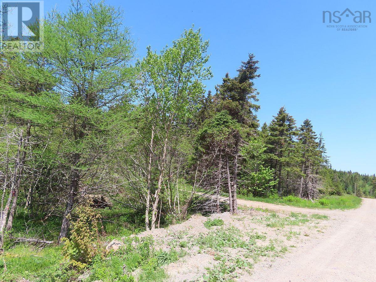 28 Acres Upper Grand Mira Road, Upper Grand Mira, Nova Scotia  B1K 1M1 - Photo 3 - 202513002