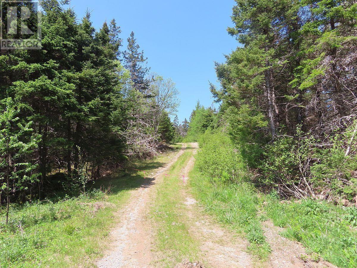 28 Acres Upper Grand Mira Road, Upper Grand Mira, Nova Scotia  B1K 1M1 - Photo 4 - 202513002
