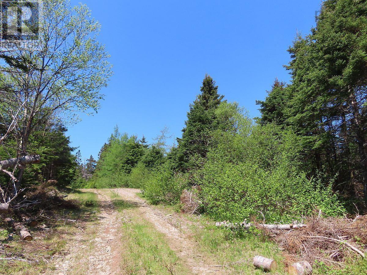 28 Acres Upper Grand Mira Road, Upper Grand Mira, Nova Scotia  B1K 1M1 - Photo 5 - 202513002