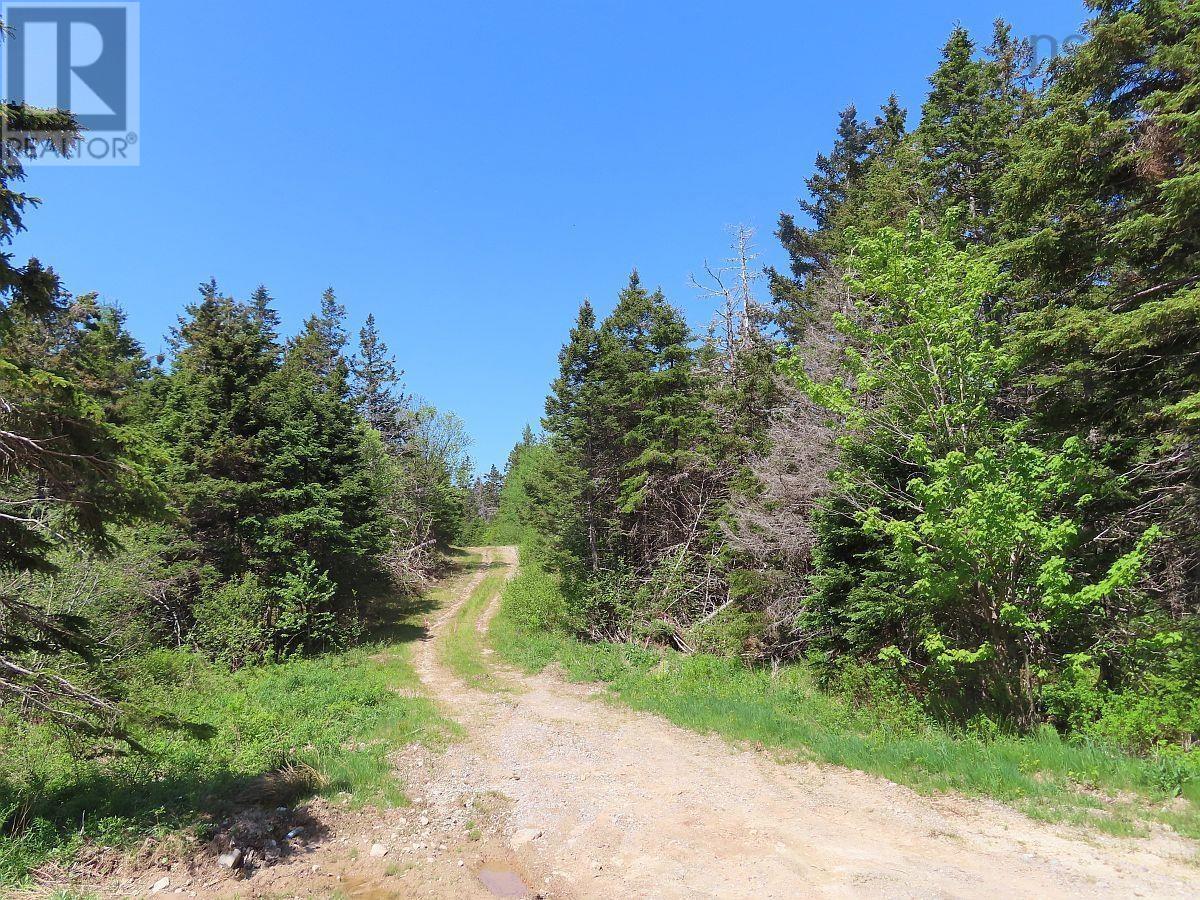 28 Acres Upper Grand Mira Road, Upper Grand Mira, Nova Scotia  B1K 1M1 - Photo 6 - 202513002