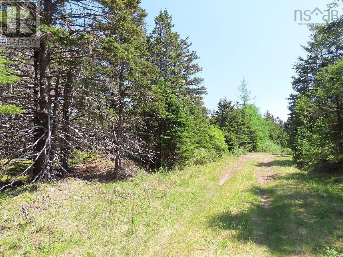 28 Acres Upper Grand Mira Road, Upper Grand Mira, Nova Scotia  B1K 1M1 - Photo 7 - 202513002