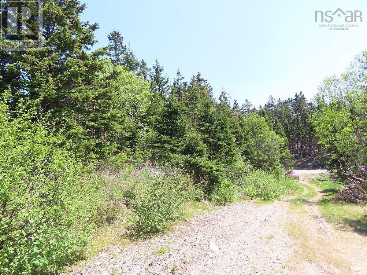 28 Acres Upper Grand Mira Road, Upper Grand Mira, Nova Scotia  B1K 1M1 - Photo 8 - 202513002