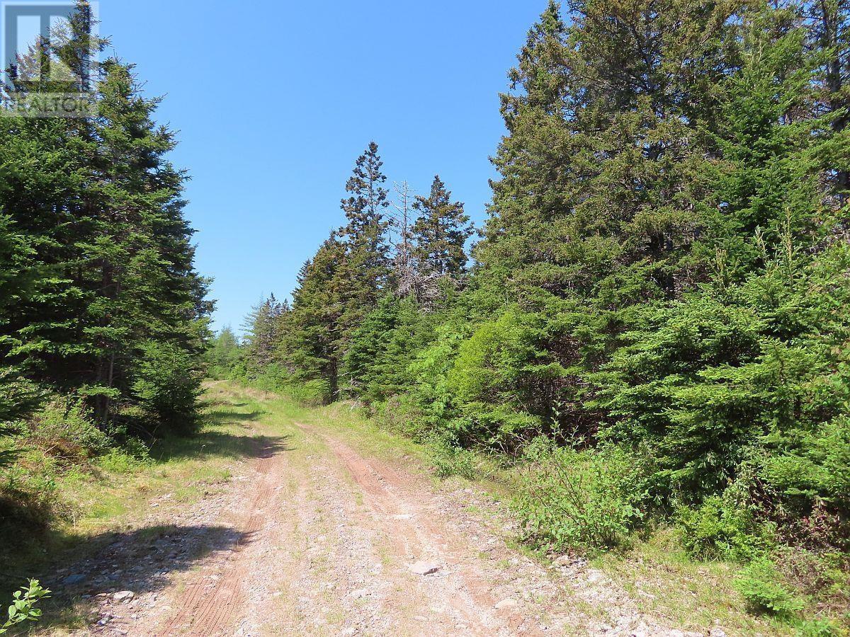 28 Acres Upper Grand Mira Road, Upper Grand Mira, Nova Scotia  B1K 1M1 - Photo 9 - 202513002