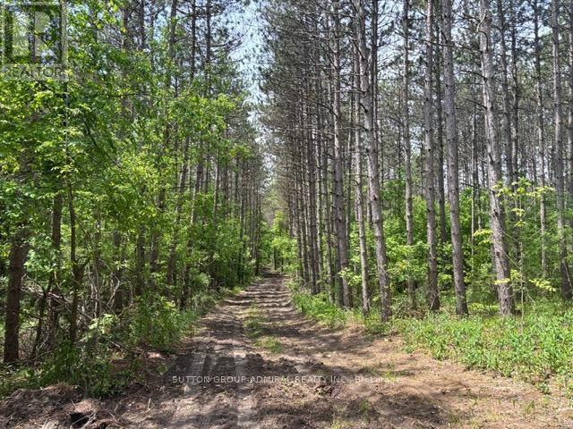 337 Regional Rd. 8 Road, Uxbridge, Ontario  L9P 1R1 - Photo 30 - N12157165