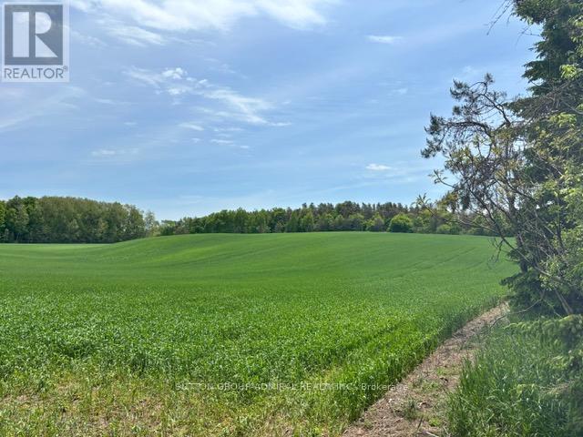 337 Regional Rd. 8 Road, Uxbridge, Ontario  L9P 1R1 - Photo 33 - N12157165
