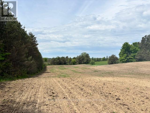337 Regional Rd. 8 Road, Uxbridge, Ontario  L9P 1R1 - Photo 32 - N12157165