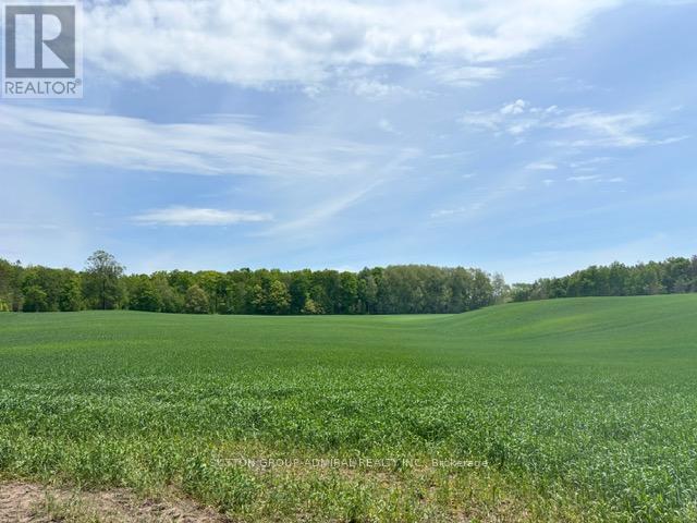 337 Regional Rd. 8 Road, Uxbridge, Ontario  L9P 1R1 - Photo 34 - N12157165