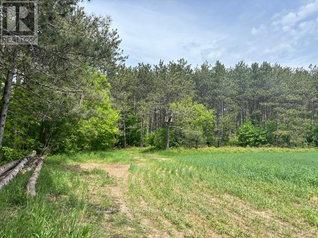 337 Regional Rd. 8 Road, Uxbridge, Ontario  L9P 1R1 - Photo 36 - N12157165