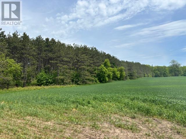 337 Regional Rd. 8 Road, Uxbridge, Ontario  L9P 1R1 - Photo 35 - N12157165