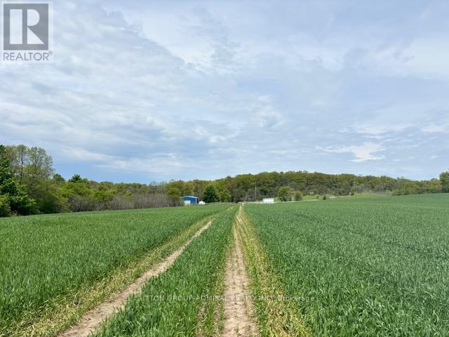337 Regional Rd. 8 Road, Uxbridge, Ontario  L9P 1R1 - Photo 37 - N12157165