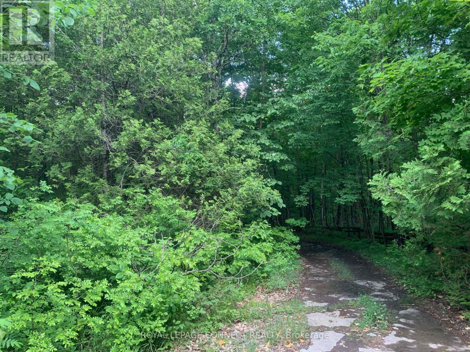 00 Clareview Road, Stone Mills (Stone Mills), Ontario  K0K 2A0 - Photo 4 - X12187402