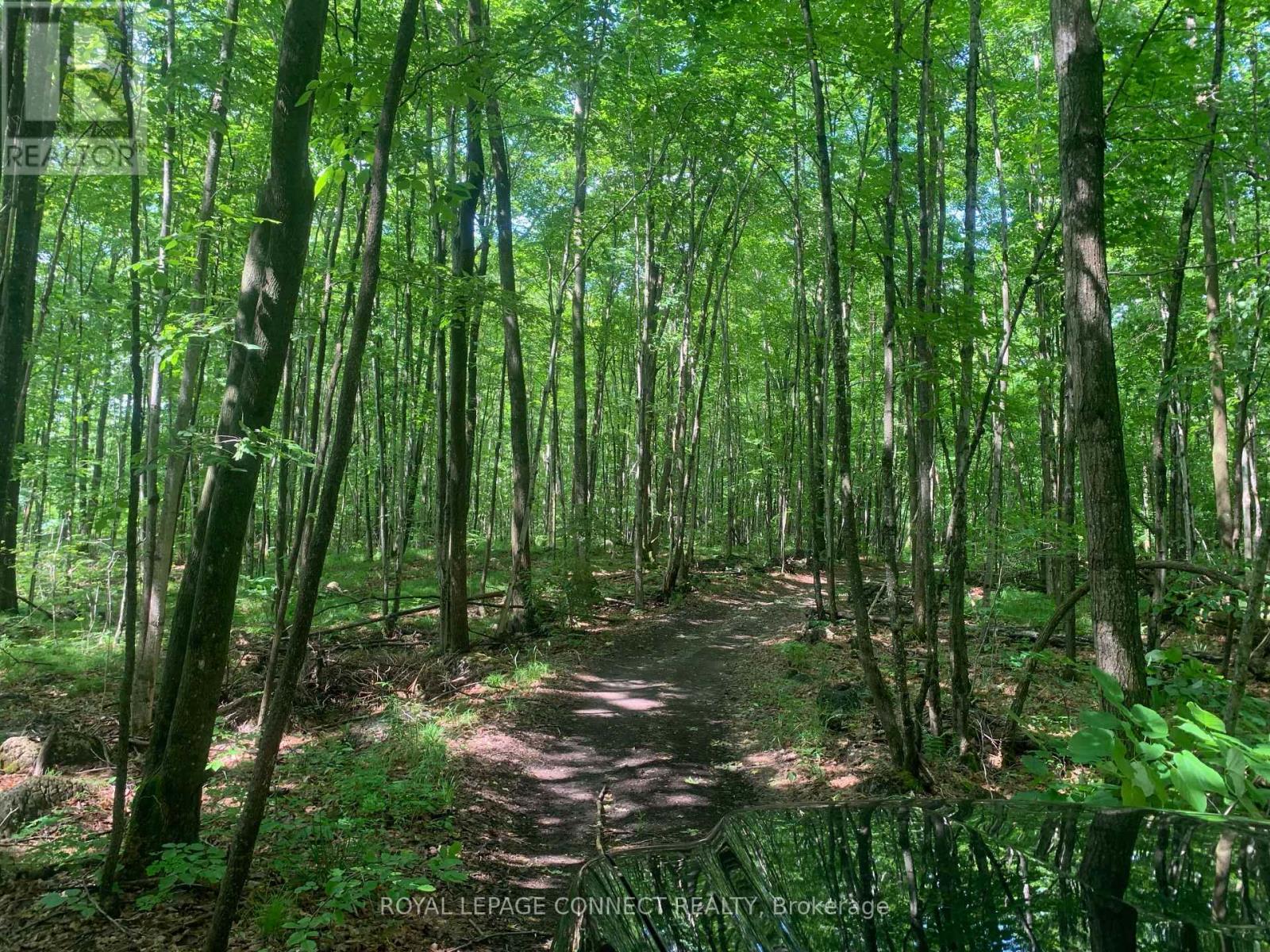 00 Clareview Road, Stone Mills (Stone Mills), Ontario  K0K 2A0 - Photo 5 - X12187402