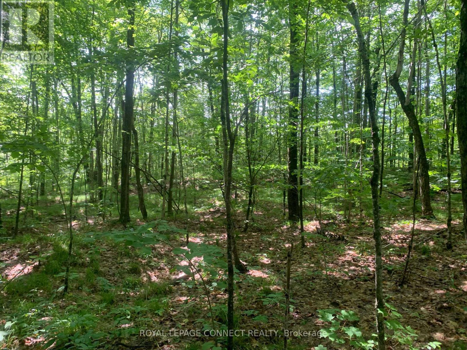 00 Clareview Road, Stone Mills (Stone Mills), Ontario  K0K 2A0 - Photo 7 - X12187402