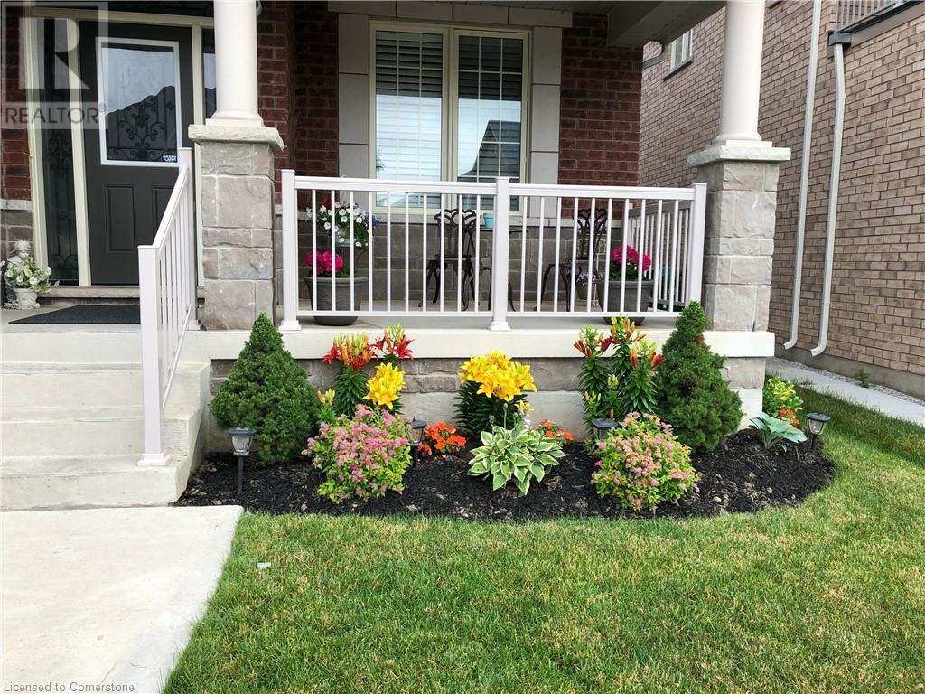 Property at 64 KALMIA Road image 5