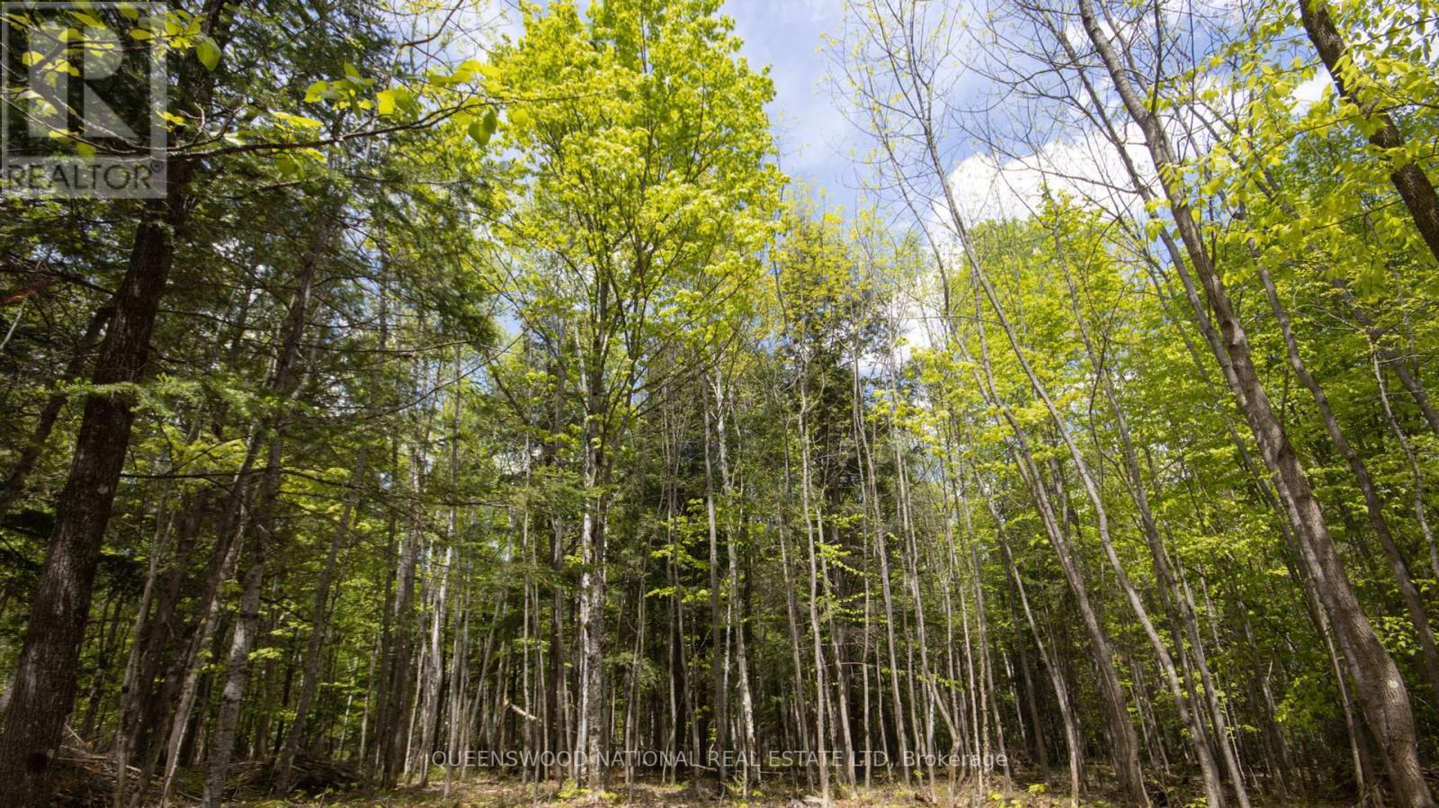 00 Siberia Road, Madawaska Valley, Ontario  K0J 1B0 - Photo 10 - X12186883