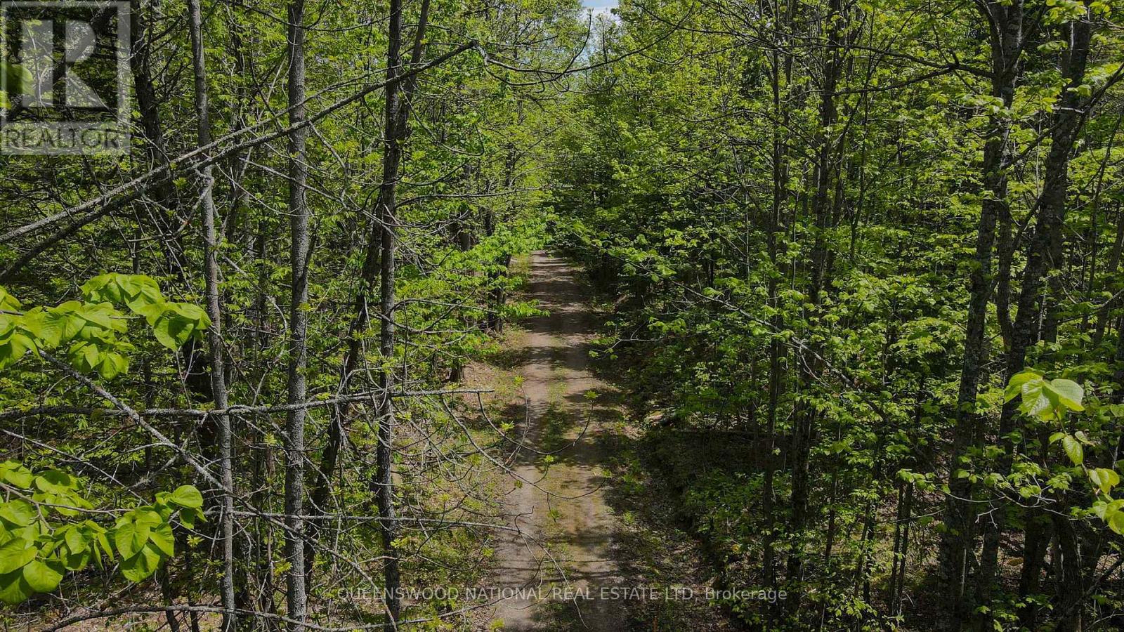00 Siberia Road, Madawaska Valley, Ontario  K0J 1B0 - Photo 21 - X12186883
