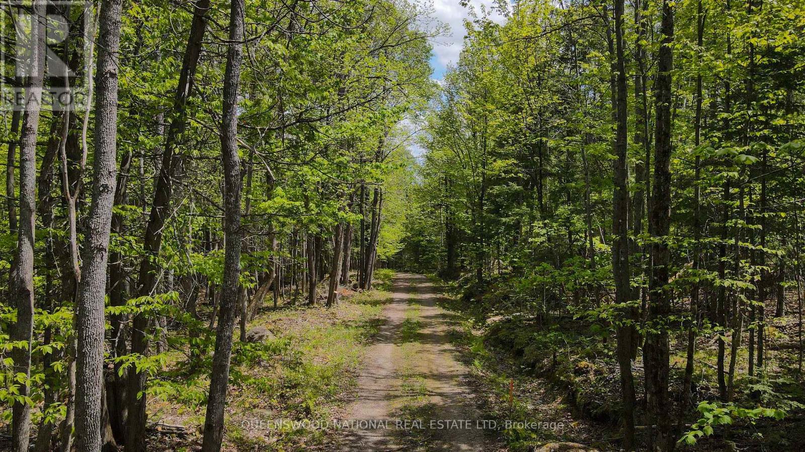 00 Siberia Road, Madawaska Valley, Ontario  K0J 1B0 - Photo 22 - X12186883