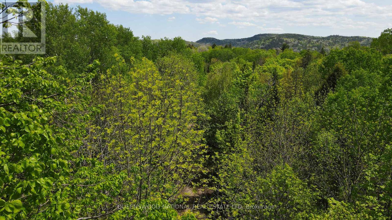 00 Siberia Road, Madawaska Valley, Ontario  K0J 1B0 - Photo 20 - X12186883