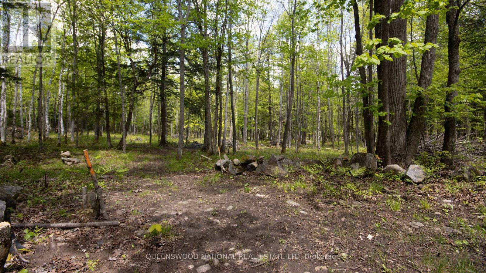 00 Siberia Road, Madawaska Valley, Ontario  K0J 1B0 - Photo 4 - X12186883