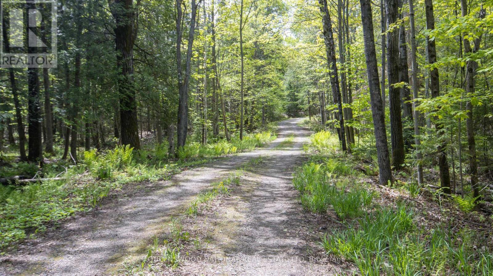 00 Siberia Road, Madawaska Valley, Ontario  K0J 1B0 - Photo 9 - X12186883