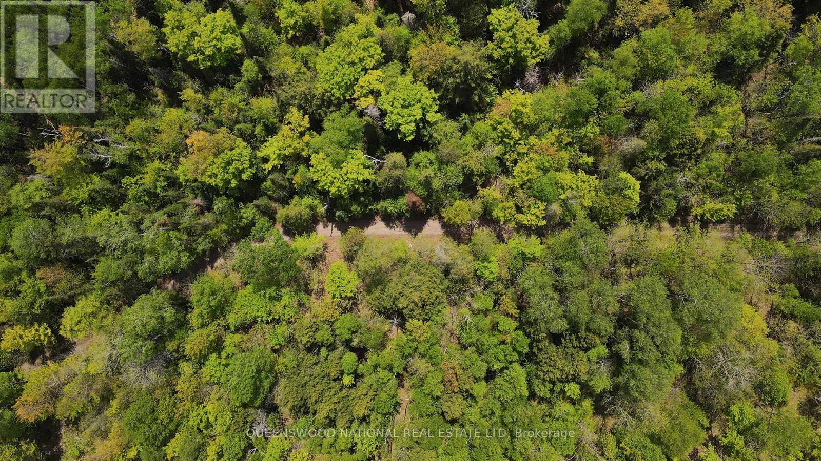 00 Siberia Road, Madawaska Valley, Ontario  K0J 1B0 - Photo 6 - X12186883