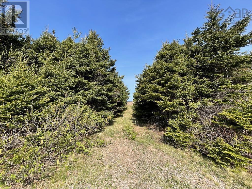 99 Pleasant Bay Loop, Pleasant Bay, Nova Scotia  B0E 2P0 - Photo 10 - 202513009