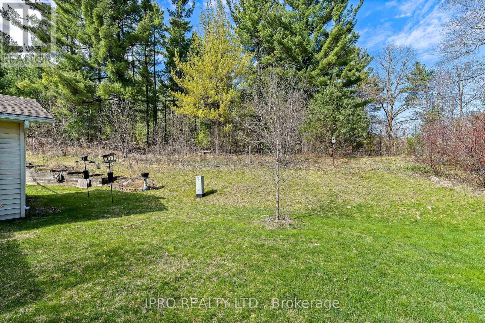 9 Balsam Court, New Tecumseth, Ontario  L0G 1W0 - Photo 28 - N12187546